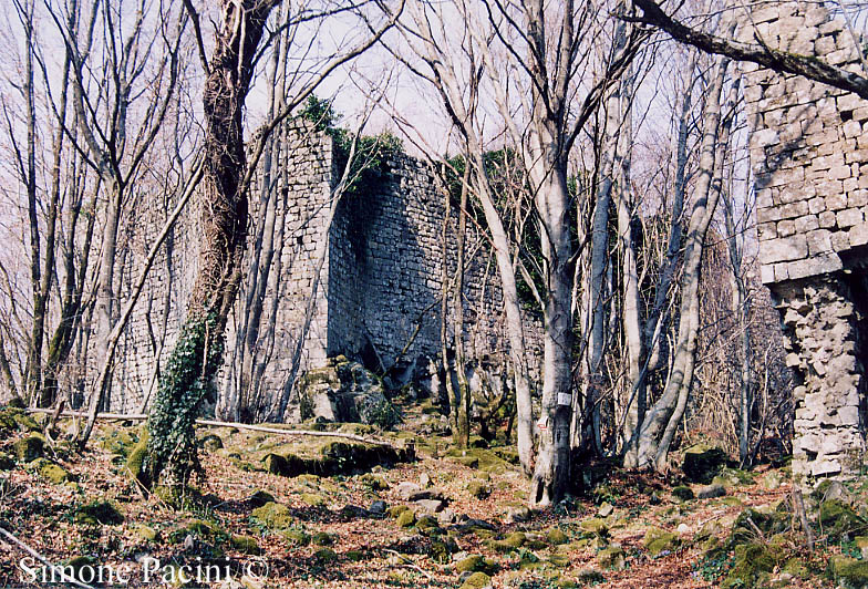 RUDERI DEL CASTELLO DI SASSOFORTE TRA LA VEGETAZIONE